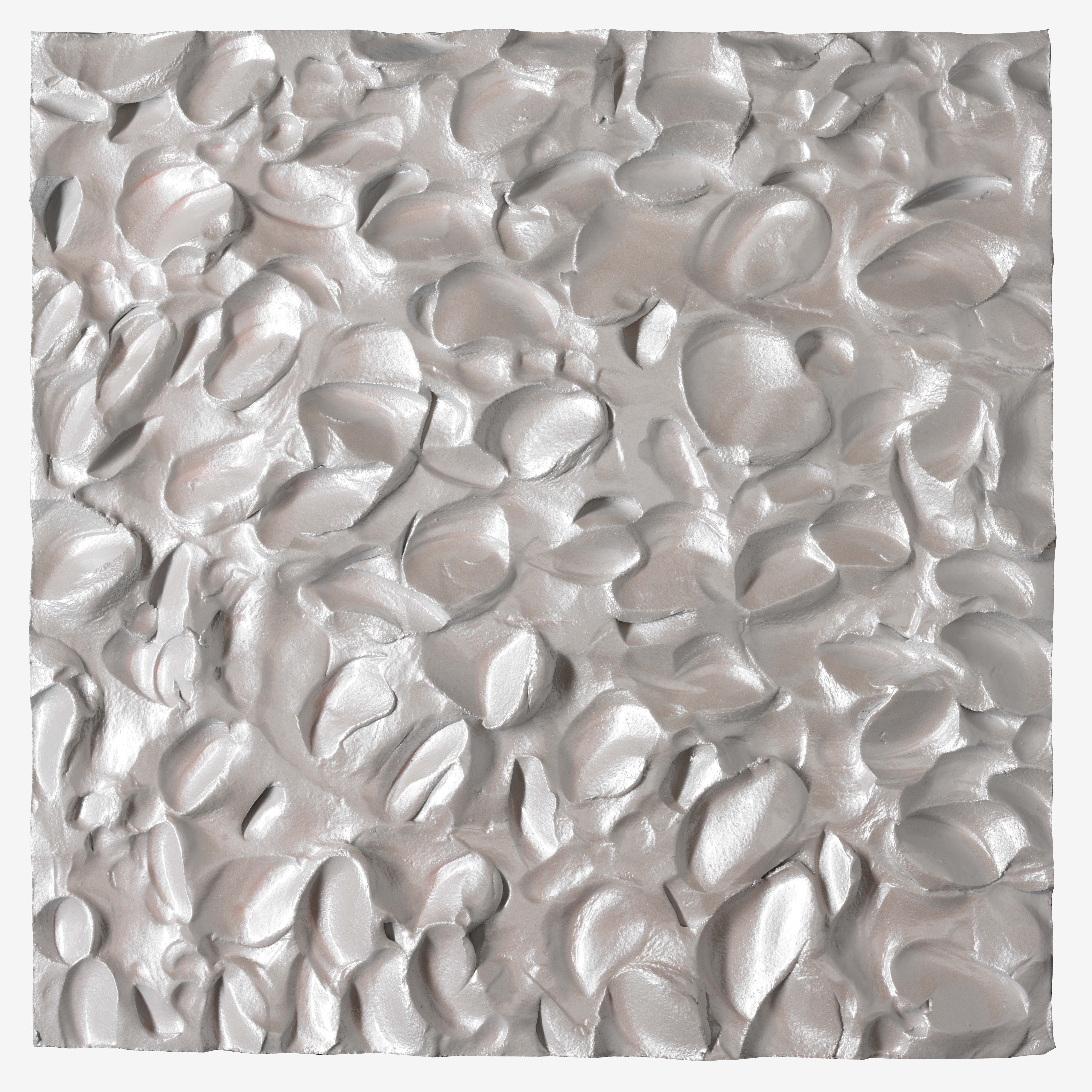 SILVER SHELL Description Image